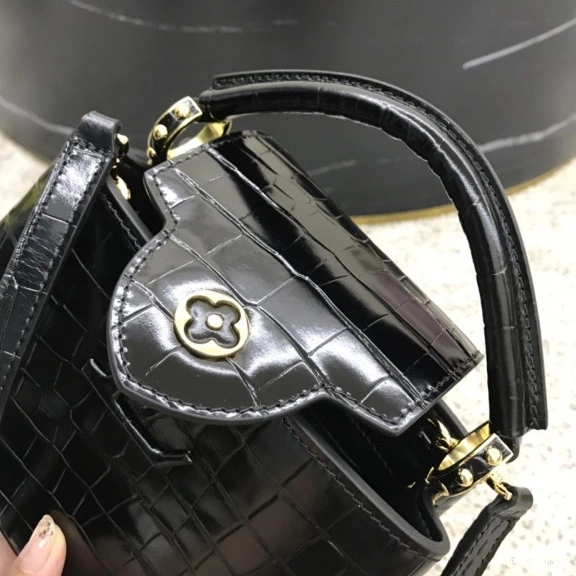 AAA Pruses Bags LOUIS CAPUCINES VUITTON MINI 0820